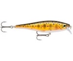Воблер Rapala BX Minnow плавающий 0,9м-1,5м, 10см 12гр цвет TR