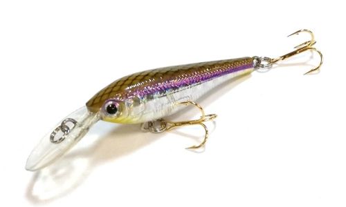 Воблер SKAGIT DESIGNS Diving Beetle 40 F / W