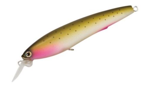 Воблер DUEL 3D Minnow 100SP (R725) NWRT