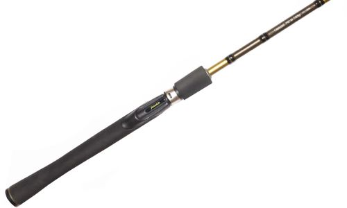 Удилище спиннинговое Fenwick EAE762M 7-25G