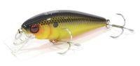 Воблер Chubble 65SR gold and black Jackall
