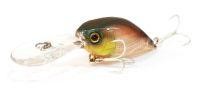 Воблер DD Chubby 38F bronze green Jackall