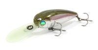 Воблер Mojarrilla 40F-DR 900 Pontoon 21