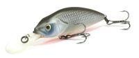 Perch DR-F