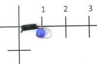 Приманка Diplura 60/26 Trout Pro