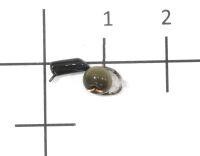 Мормышка Гвоздешарик Кошачий глаз подвес d2 болотный кр.kumho True Weight