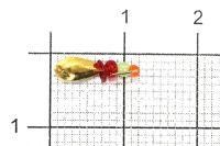 Мормышка Клоп с ушком d3 002 золото Nautilus