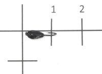 Мормышка Клоп с ушком d3 012 черный Nautilus