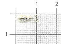 Мормышка Коза-муравей d3.5 001 серебро Nautilus