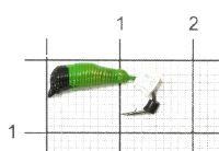 Мормышка Ручейник №7 d2.5 серебряный кубик, салатовый Санхар