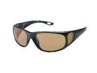 Очки Vision Panorama Brown VWF41