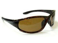 Очки Vision X-Spider Brown VWF42