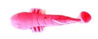 Приманка Betanco Shad Tail 2" S837 Bait Breath