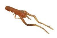 Приманка Bubble Shrimp 3.5" F Pumpkin Daiwa