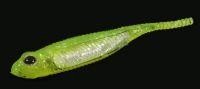 Приманка Flash J 1" SW 102 chartreuse/silver Fish Arrow