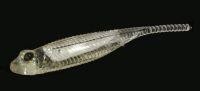 Приманка Flash J 1" SW 110 clear/silver Fish Arrow