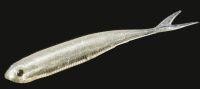 Приманка Flash J Split 4" SW 100 shirasu/silver Fish Arrow