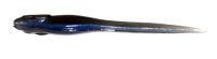Приманка Honjikomi hazedong 3.5" natural pro blue Megabass
