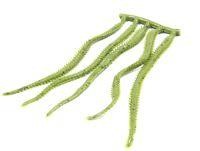 Приманка Isome L Green Marukyu