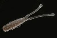 Приманка MWS Sea Monkey 1.8" BRBG Yamashita