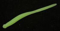 Приманка Needle RealFry 2'' SW glow lime chart SW813 Bait Breath