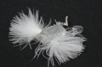 Приманка Para Bug aurora skeleton bug Megabass