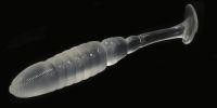 Приманка T. T. Shad 3.2" 209 Bait Breath