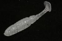 Приманка T. T. Shad 4.8 123 Bait Breath