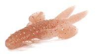 Приманка Yabby 25 Noike
