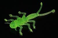 Приманка Веснянка зеленый флюо MicroKiller