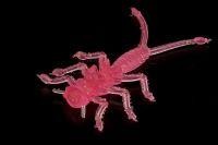 Приманка Веснянка малиновый флюо MicroKiller