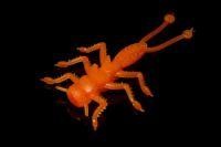 Приманка Веснянка морковный MicroKiller