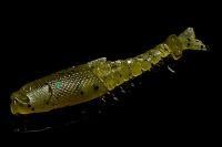 Приманка Малек болотно-зеленый MicroKiller