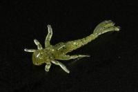 Приманка Поденка, болотно-зеленый MicroKiller