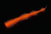 Приманка Червь морковный MicroKiller