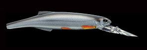 Воблер Izumi Long Lip Minnow 120 №9