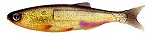 Мягкая приманка Izumi Umami 120 (3pcs pack) №4