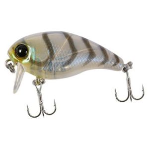 Воблер JACKALL Chubby 38 SSR suji shrimp