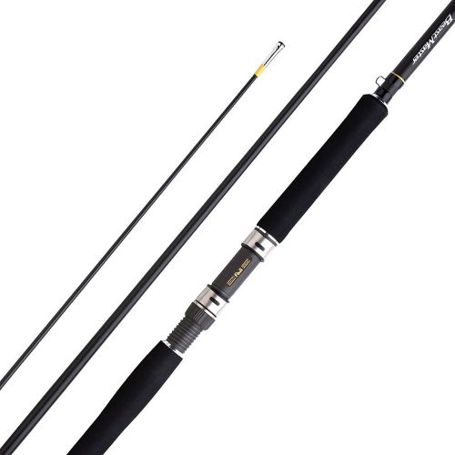 Удилище Shimano Beastmaster CX Innerguide Boat 220H