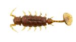 Виброхвосты съедобные искусственные LJ Pro Series ALIEN BUG 2,5in (06,35)/PA03 7шт.