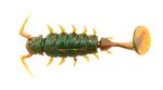 Виброхвосты съедобные искусственные LJ Pro Series ALIEN BUG 1,5in (03.81)/085 10шт.