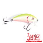 Воблер плавающий Lucky John BLIND UL F 04.50/S78