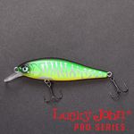 Воблер плавающий LJ Pro Series ANIRA F 04.90/305