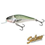 Воблер плавающий Salmo EXECUTOR SDR 05/EF