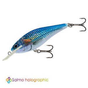 Воблер плавающий Salmo EXECUTOR SDR 05/HSH