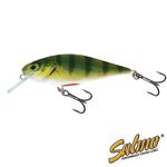 Воблер плавающий Salmo EXECUTOR SDR 05/RPH