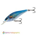 Воблер плавающий Salmo EXECUTOR SDR 07/HSH