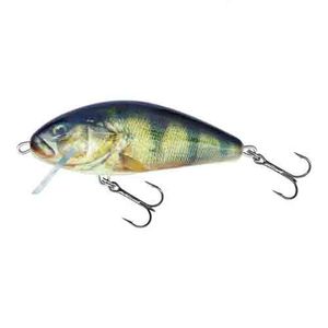 Воблер плавающий Salmo FATSO CRANK C 10/RPH