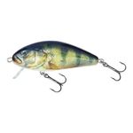Воблер плавающий Salmo FATSO CRANK C 10/RPH