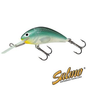 Воблер плавающий Salmo HORNET F 05/GBH